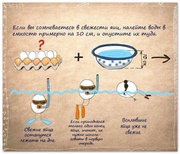 как проверить свежесть яйца